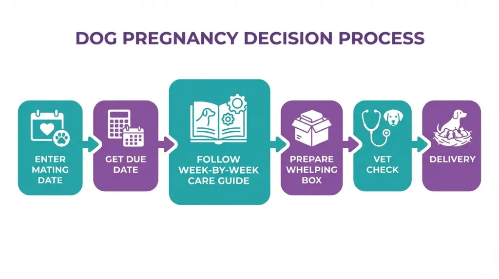 Dog pregnancy care flowchart showing steps from mating date input to delivery preparation using a canine pregnancy calculator